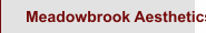 Meadowbrook Aesthetics
